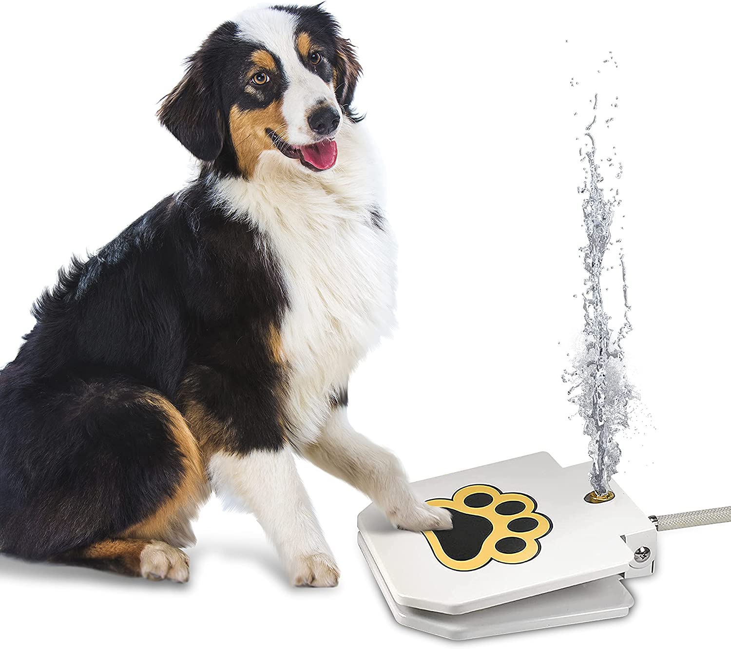 Hydro Doggo™ I Honden Buiten Water Fontein
