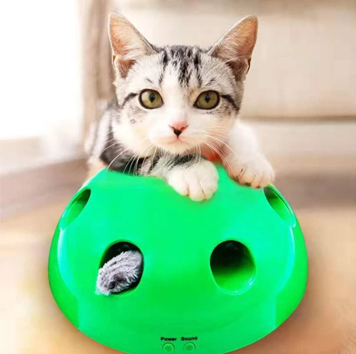 Kat en Muis™️ - Urenlang Speel Plezier Voor Jouw Kat