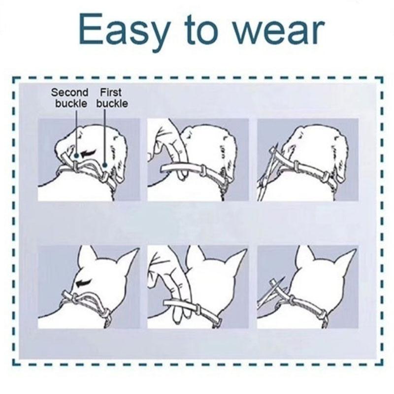 Pet Collar™ - Insecticide halsband voor huisdieren